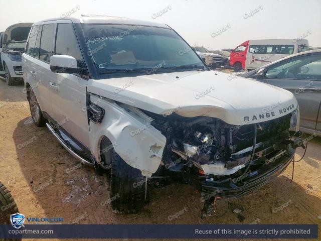 Auction photo