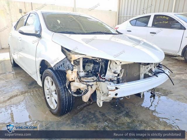 Auction photo