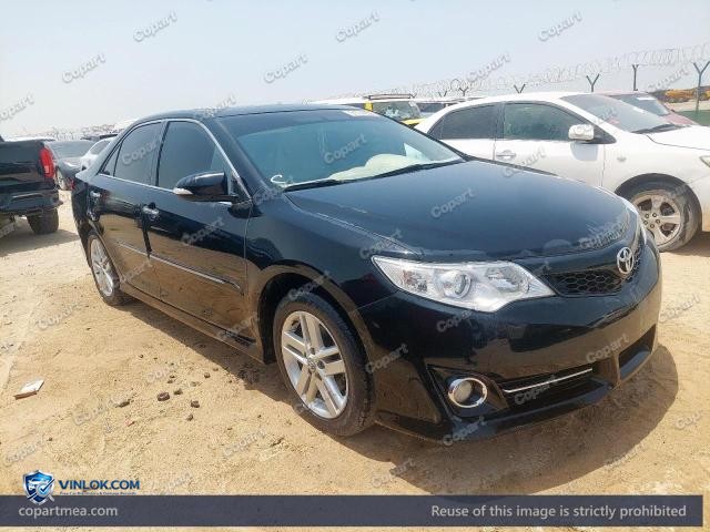 Auction photo