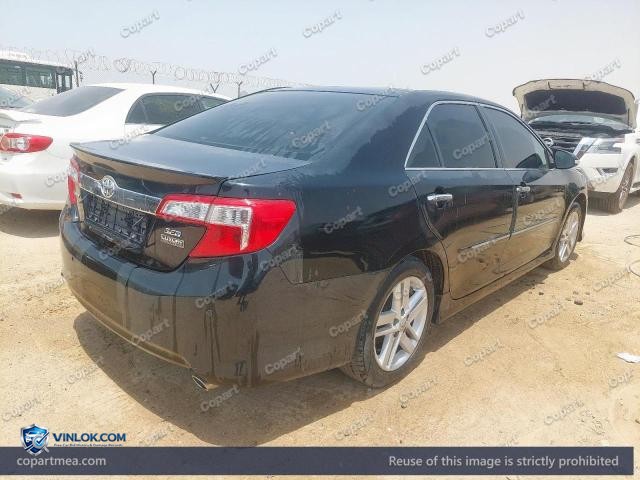 Auction photo