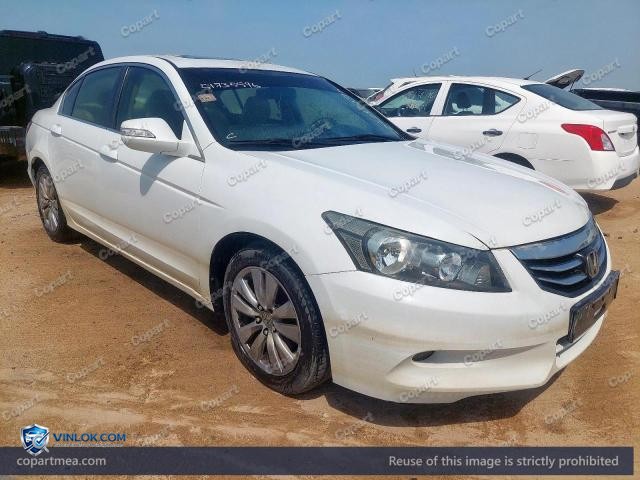 Auction photo