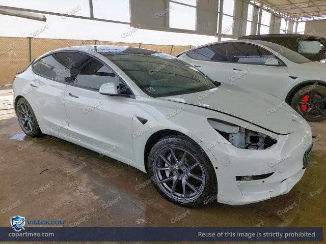 Auction photo