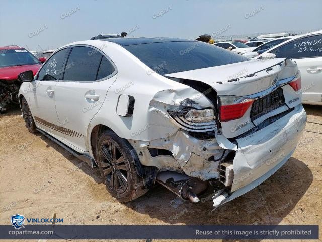 Auction photo