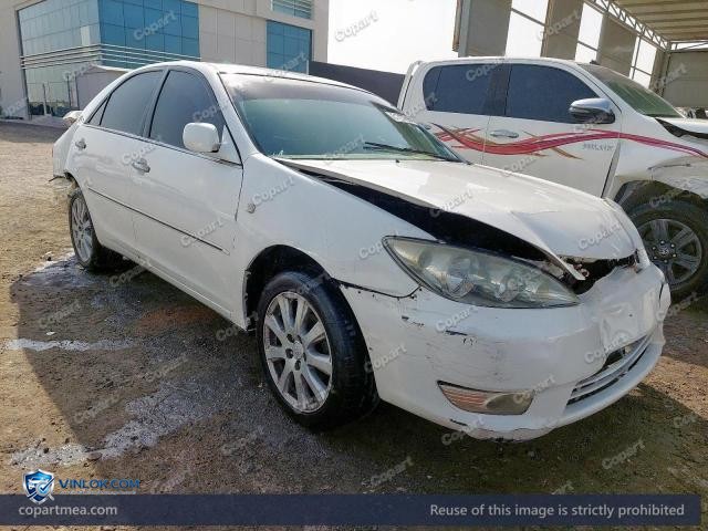 Auction photo
