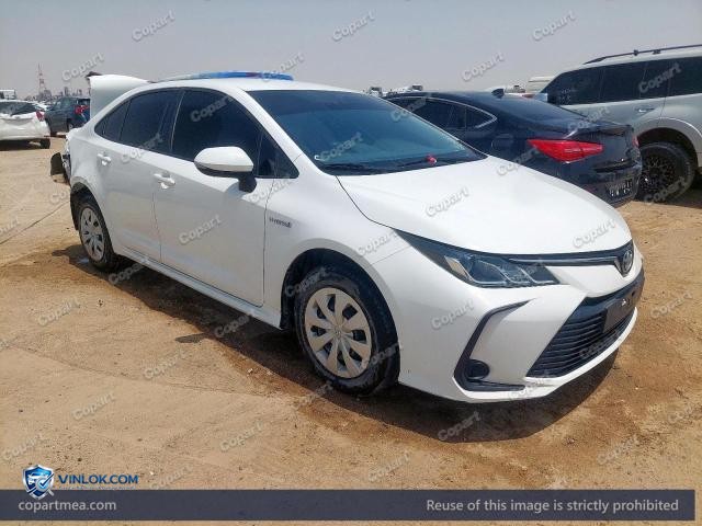 Auction photo