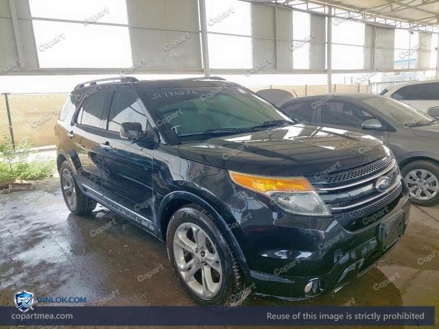 Auction photo