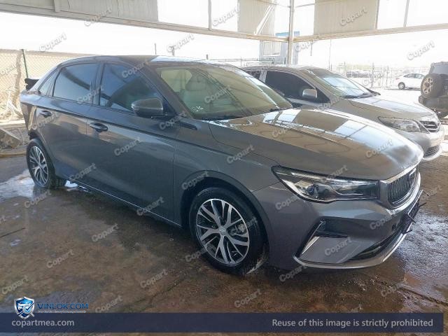 2025 GEEL EMGRAND — Lot 51743166 auction photo