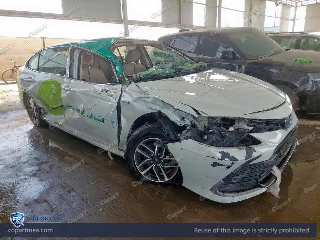 Auction photo