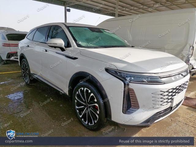 2024 EXEE RX — Lot 51745896 auction photo