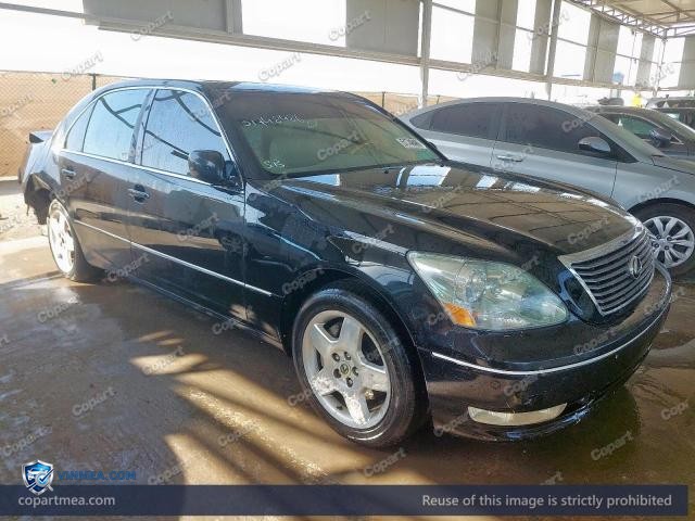 Auction photo