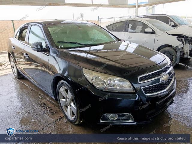 Auction photo