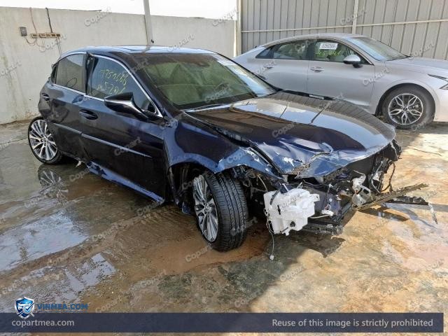 Auction photo