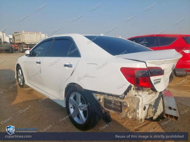 Auction photo