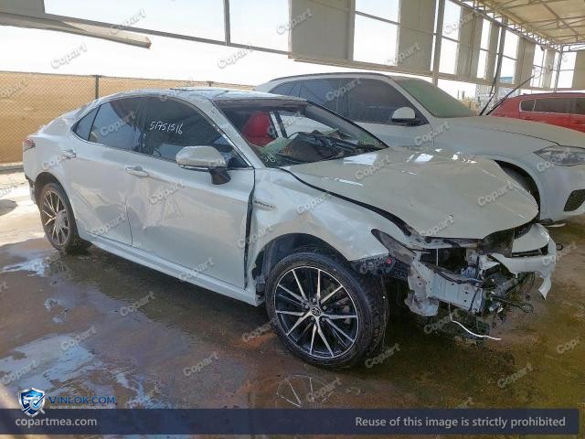 Auction photo