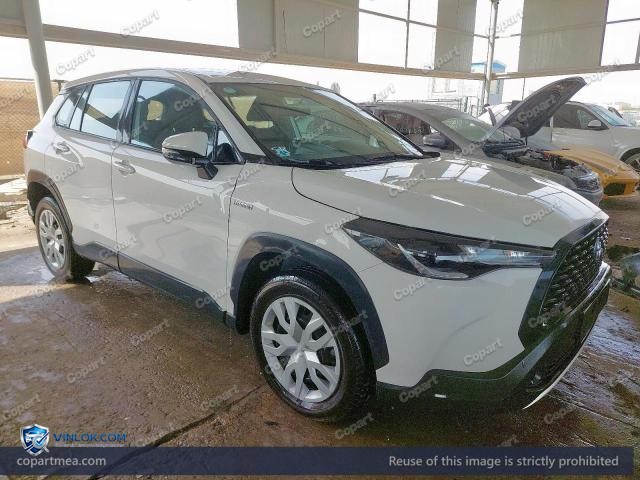 Auction photo