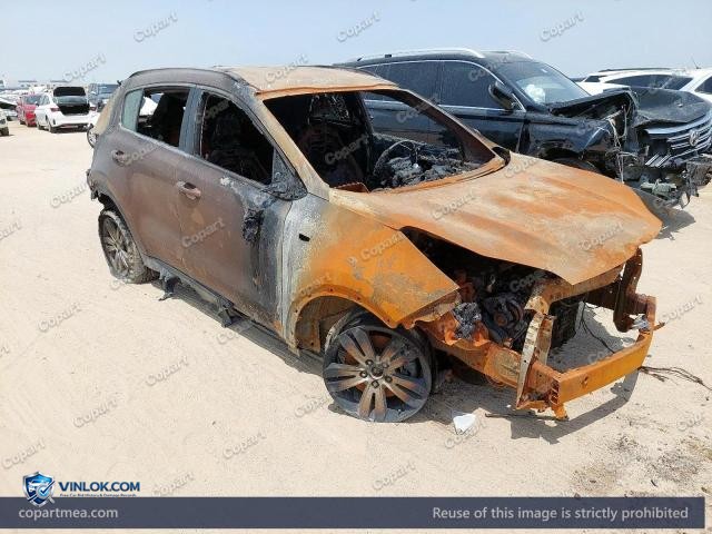 Auction photo