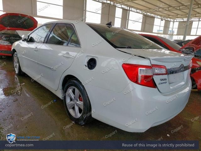 Auction photo