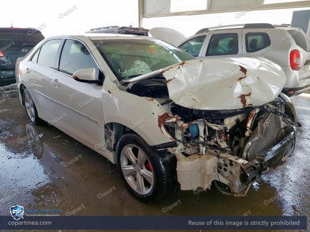 Auction photo