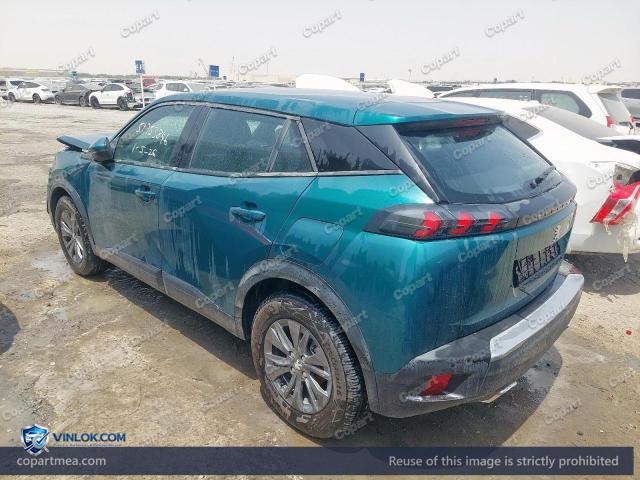 Auction photo