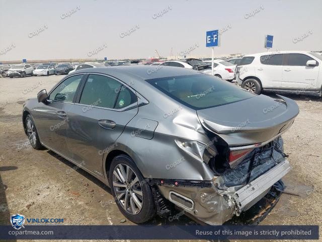 Auction photo