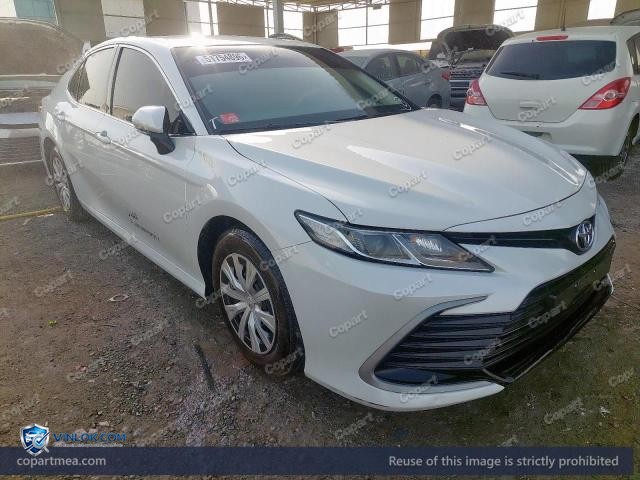 Auction photo