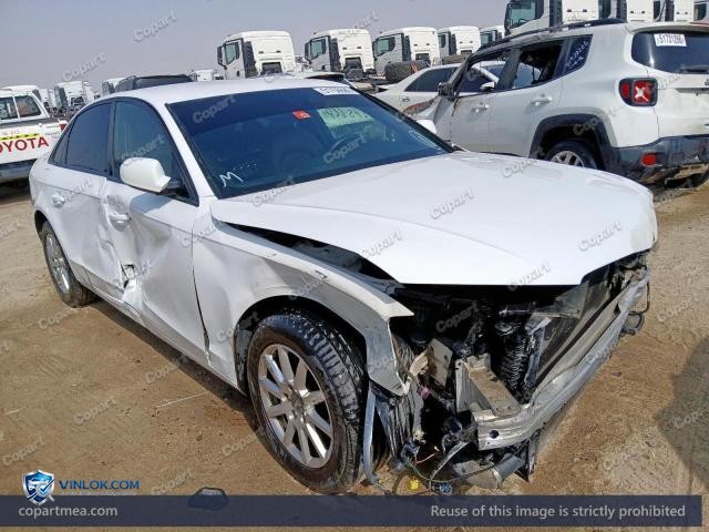 Auction photo