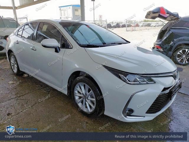 Auction photo