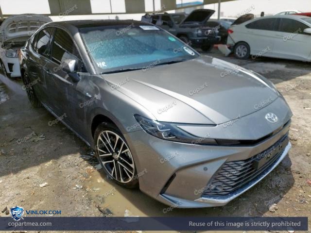 Auction photo