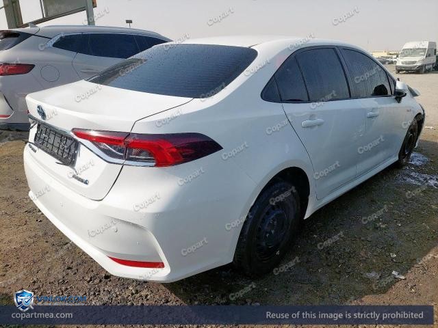 Auction photo