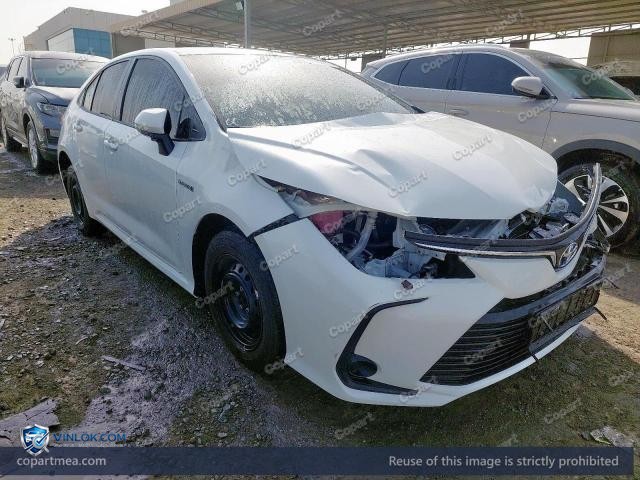 Auction photo