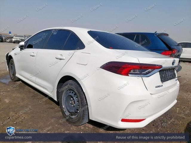 Auction photo
