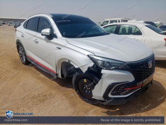 2022 CHAN CS85 — Lot 51925846 auction photo