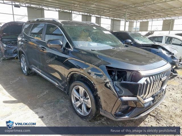 2025 GEEL OKAVANGO — Lot 51925936 auction photo