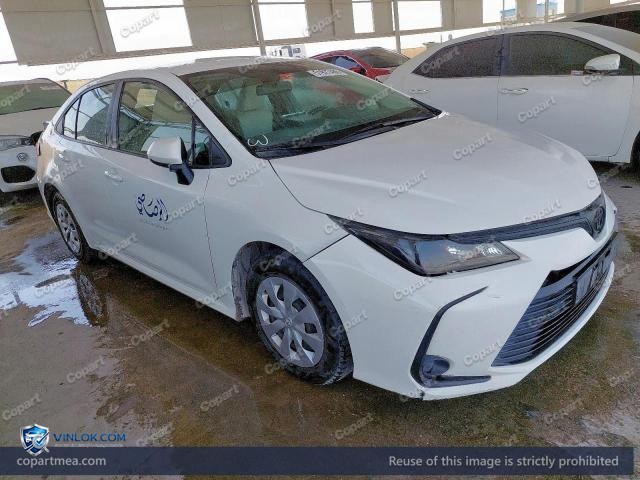 Auction photo