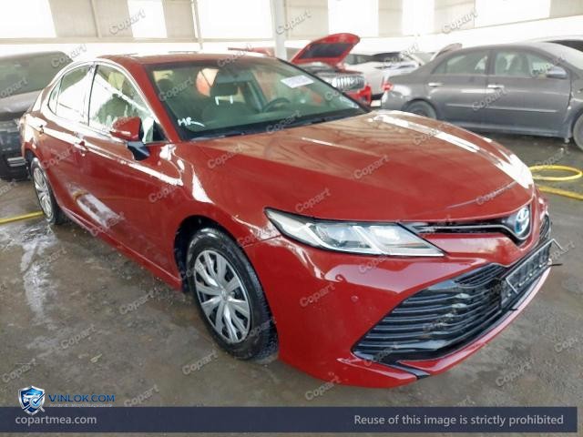 Auction photo