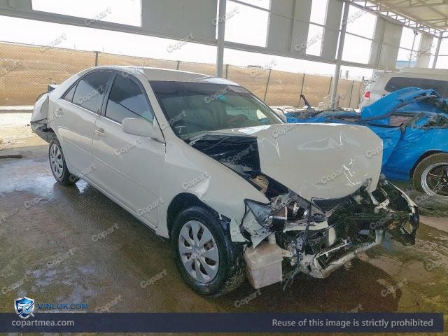 Auction photo