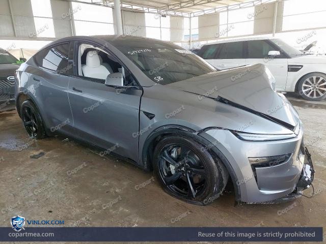 2025 TESLA MODEL Y — Lot 51929216 auction photo