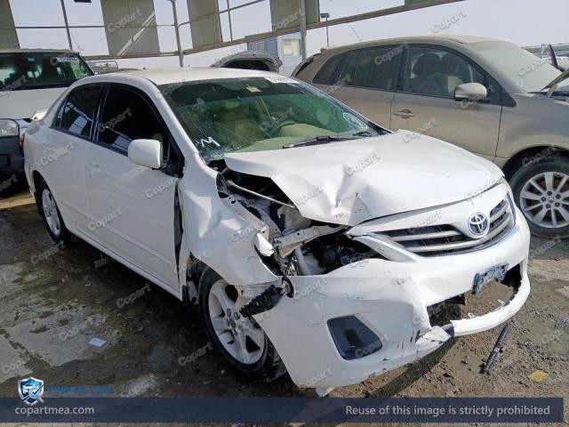 Auction photo