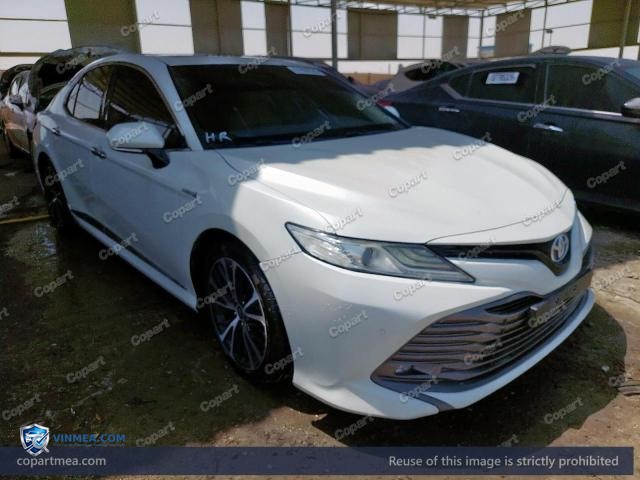 Auction photo