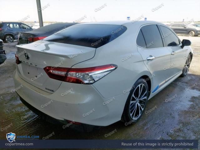 Auction photo