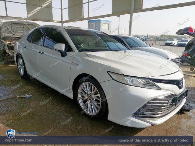 Auction photo