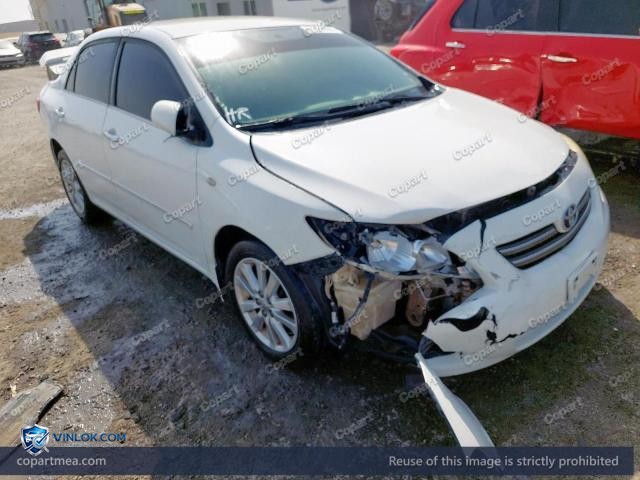 Auction photo