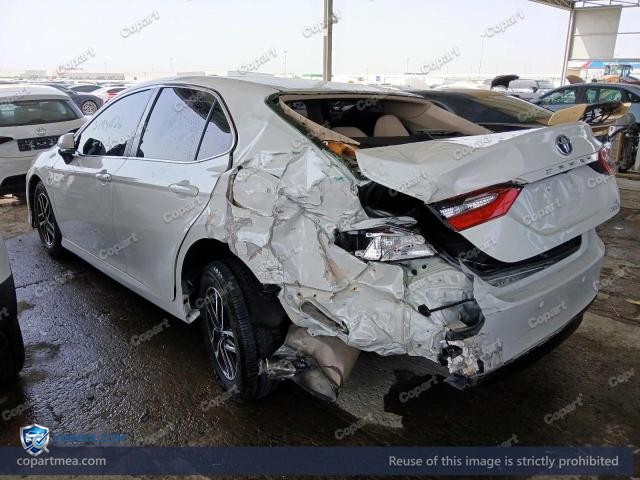 Auction photo