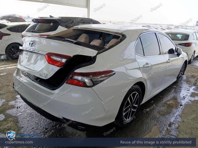 Auction photo