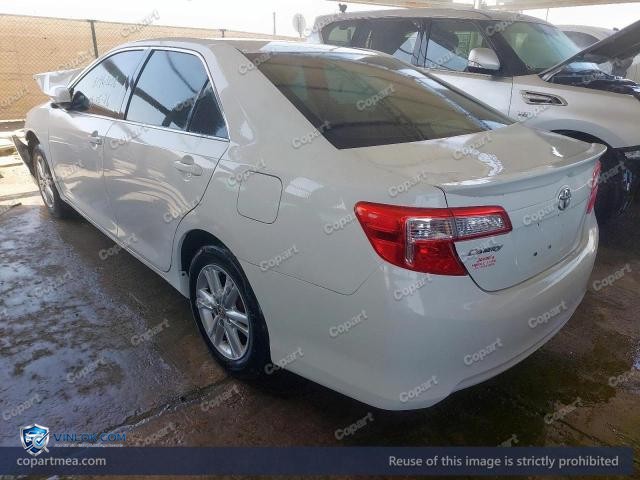Auction photo
