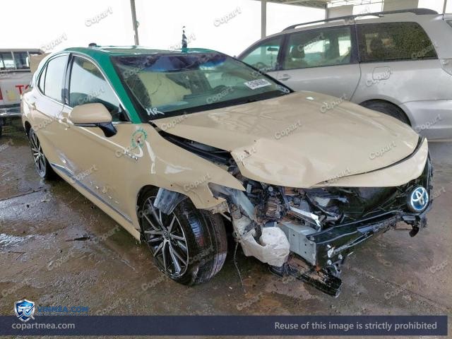 Auction photo