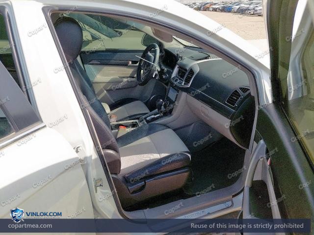 Auction photo