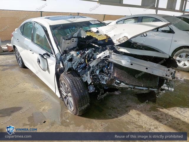 Auction photo