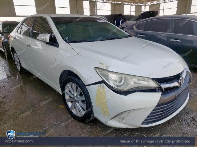 Auction photo