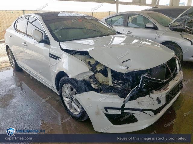 Auction photo